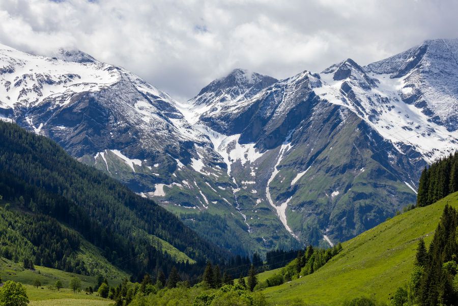 Study in New Zealand - guidance from Nagercoil
